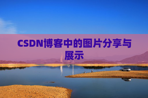 CSDN博客中的图片分享与展示